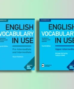 Download English Vocabulary in Use PDF