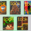 Download National Geographic Look American British English (7 Levels) 2020