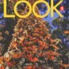 Download ebook pdf audio Look American 1 Student's Book
