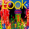 Download ebook pdf audio Look American 2 Student's Book
