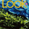 Download ebook pdf audio Look American 3 Student's Book