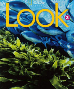 Download ebook pdf audio Look American 3 Student's Book