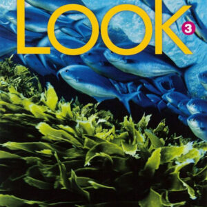 Download ebook pdf audio Look American 3 Student's Book