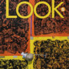 Download ebook pdf audio Look American 5 Student's Book