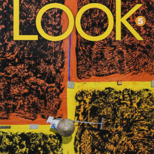 Download ebook pdf audio Look American 5 Student's Book