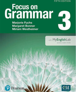 Focus on Grammar 3