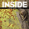 Inside B Reading and Language