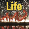 2ed British Life Beginner Teacher's Book