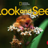 Look and See 1 Student's Book