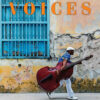 Voices Pre-Intermediate A2 B1 Student's Book