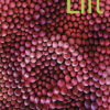 Lift 2 Student's Book