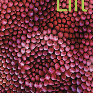 Lift 2 Student's Book