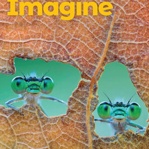 Imagine Starter Student's Book