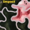 Impact 2nd Edition 1 Student's Book
