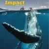 Impact 2nd Edition Starter Student's Book