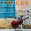 Voices Pre-Intermediate A2 B1 Student's Book