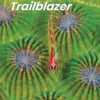 Trailblazer 4 Student's Book