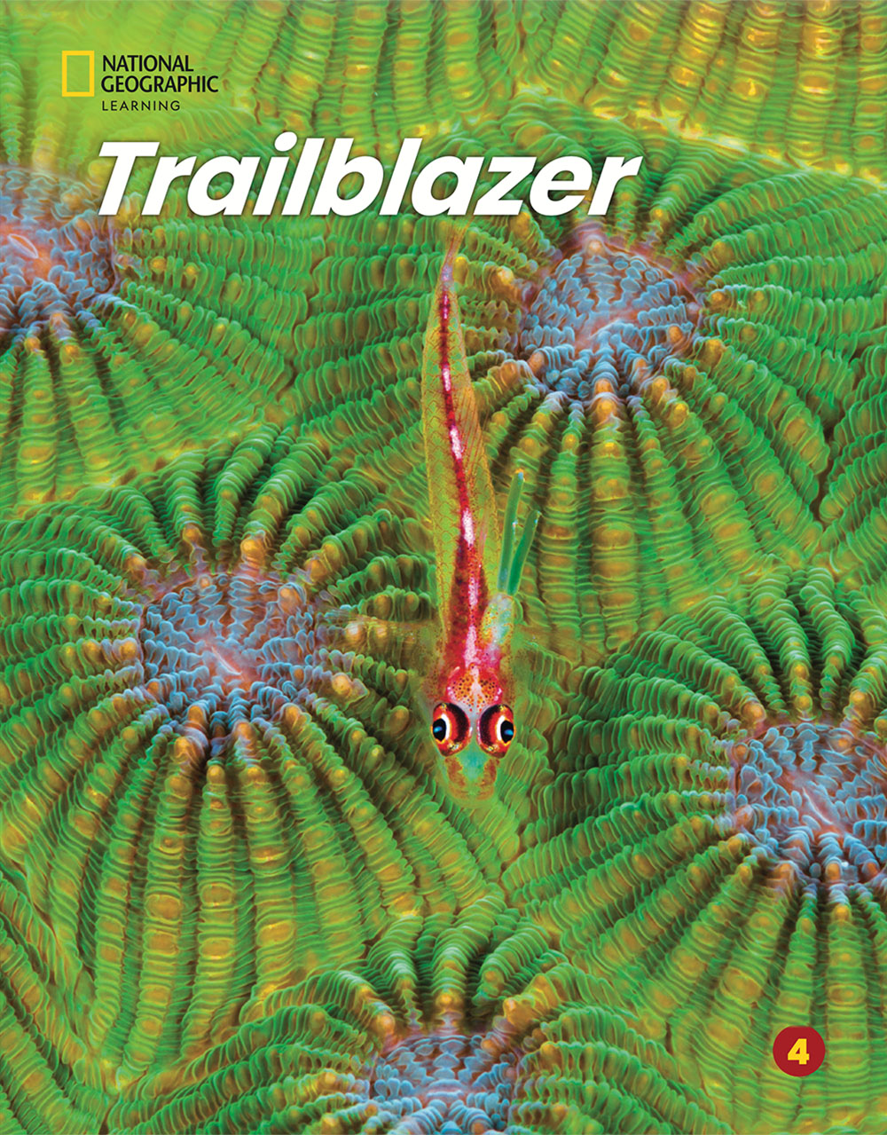 Trailblazer 4 Student's Book