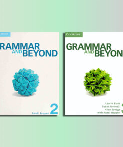Download Grammar and Beyond PDF