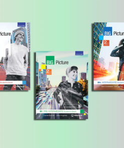 The Big Picture 2ed AME - All 5 Levels (PDFs, Resources)