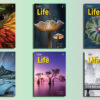 Download Life Third Edition American English PDF Resources