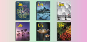 Download Life Third Edition British English
