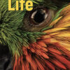 Life Third Edition 1 Student's Book