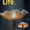 Life Third Edition 2 Student's Book
