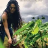 Stand Out 4th Edition 1 Student's Book